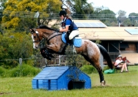 Just Somethin About Harry, Eventing.
