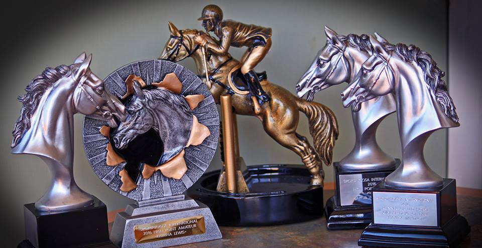 2015 Sportaloosa high point award winners